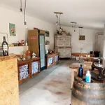 Casa Thocamalu's