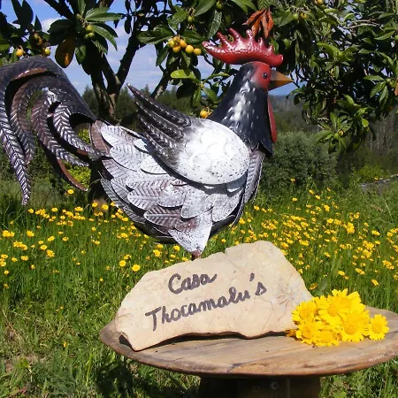 דירה Casa Thocamalu's