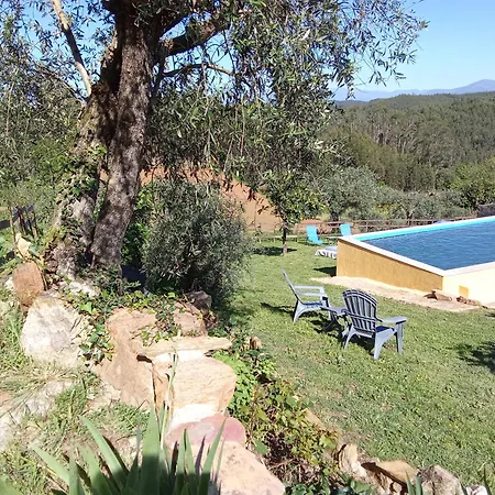 Casa Thocamalu's *