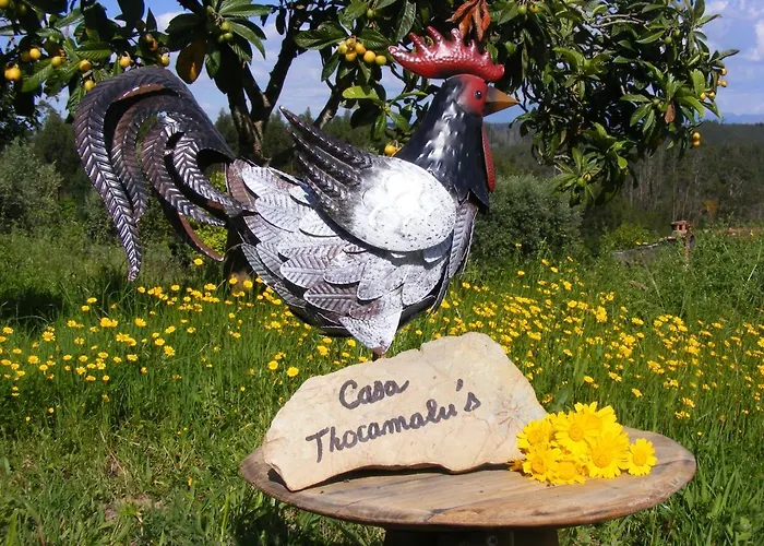 Apartamento Casa Thocamalu's